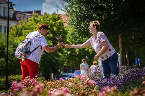 Akcja "Lawenda dla przechodniów" na ulicach Giżycka