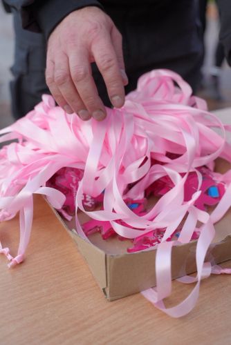 Różowy Bieg Po Zdrowie_26.10.2025_T._Walczuk