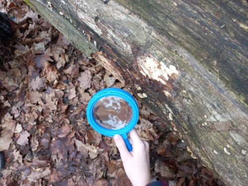 Relacja z projektu Uważna szkoła