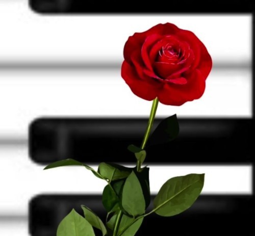 Koncert "Chopin i wielcy romantycy - muzyka i słowo" | Grzegorz Niemczuk